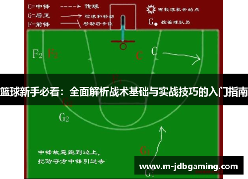 篮球新手必看：全面解析战术基础与实战技巧的入门指南